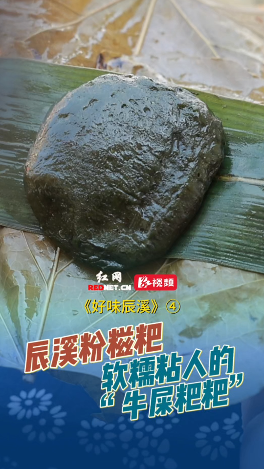 桐叶裹蒿香 乡土藏团圆