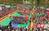 看球赛、逛苗寨、品茶香、赏非遗 “湖南茶BA”点燃乡村振兴新引擎
