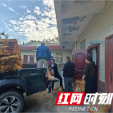 慈利县赵家岗土家族乡银寨村烤烟喜获收成