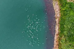 资兴：湖景美 白鹭飞