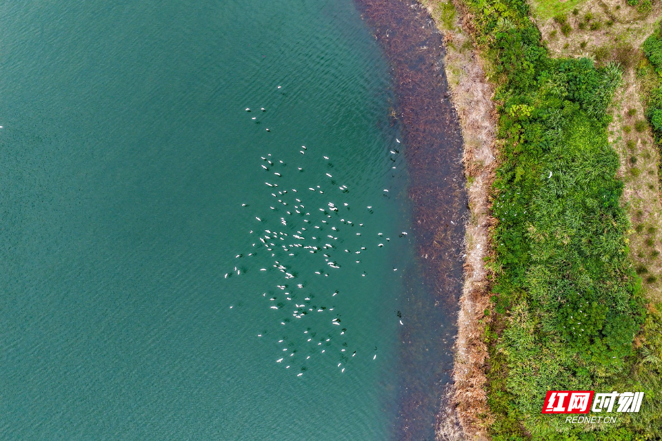 DJI_20261005121533_0410_D.jpg DJI_20261005121533_0410_D.jpg