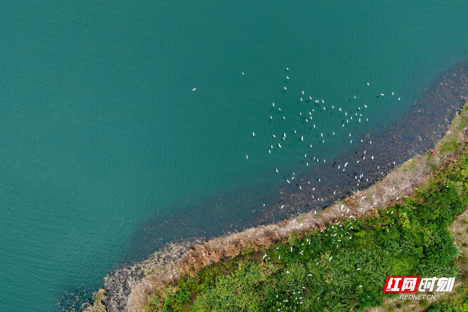 DJI_20261005121543_0414_D.jpg DJI_20261005121543_0414_D.jpg