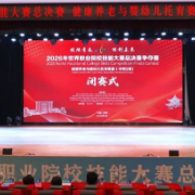 健康养老赛技能  婴幼托育亮匠心