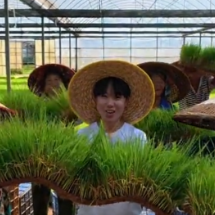 文化永州丨嶷山阿云:零陵青禾粒的归途——致谢砚