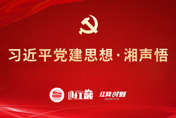习近平党建思想·湘声悟 | 坚持党中央集中统一领导