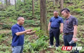 新邵县：“药王传方”惠百姓