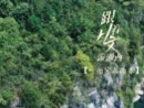 《跟着从文游湘西》第十二集：一幅宋人画本