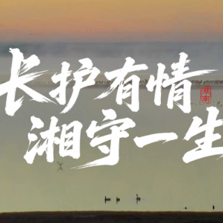 视频｜长护有情·湘守一生
