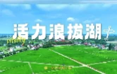 视频丨《沿着藕池河看家乡》——南县浪拔湖镇
