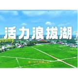 视频丨《沿着藕池河看家乡》——南县浪拔湖镇
