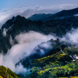 诗歌时刻丨萧逸帆：大地上的耕耘（组诗）