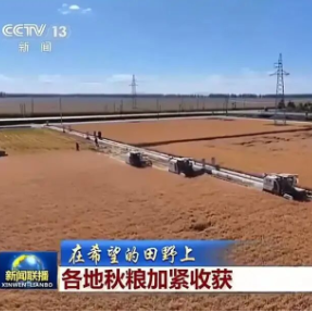 秋粮收获过四成