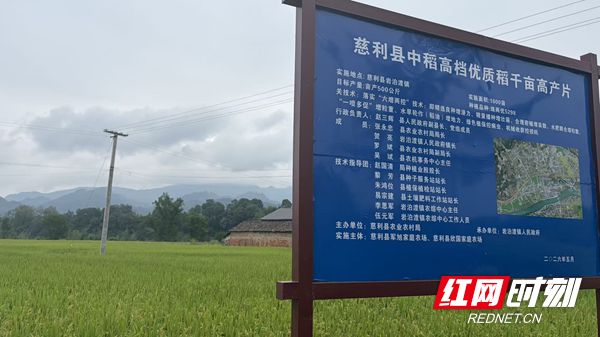 图片1_副本2.jpg