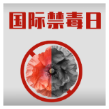 国际禁毒日特辑｜六份档案，六束藏蓝微光
