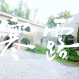 视频 | 二十四节气之寒露·凉燥护阳