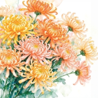 露寒凝秋燥 汤润养肺阴｜食愈24节气