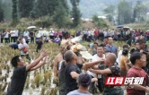 花垣县长乐乡：党群阵地搭台庆丰收 基层服务赋能振兴路