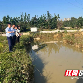 院士领衔产学研联动 湖南龟鳖蛙产业提质增效添“智”力