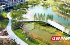 雷锋河生态公园项目（一期）竣工，数十万群众乐享滨水绿意