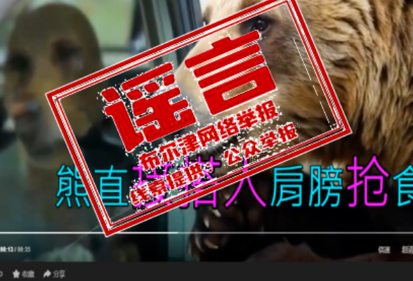 网传喀纳斯棕熊索食险酿大祸？纯属AI虚假编造！