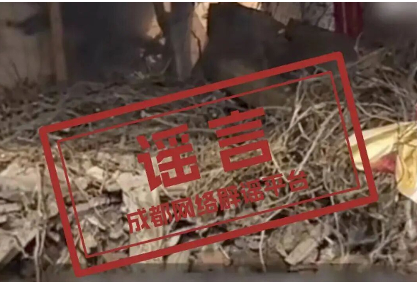 网传“成都一小区楼顶埋7岁男童”？警方通报
