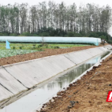 君山区高标准农田建设“加速跑” 秋日管护绘就沃野好“丰”景