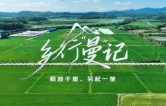 乡行“曼”记｜微纪录·稻浪千重，另起一垄