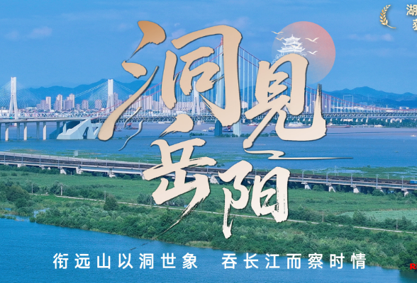 洞见岳阳丨“丝滑”背后，是一种“零帧起手”的信任