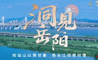 洞见岳阳丨“丝滑”背后，是一种“零帧起手”的信任