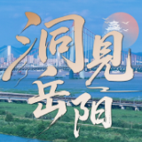 洞见岳阳丨“丝滑”背后，是一种“零帧起手”的信任