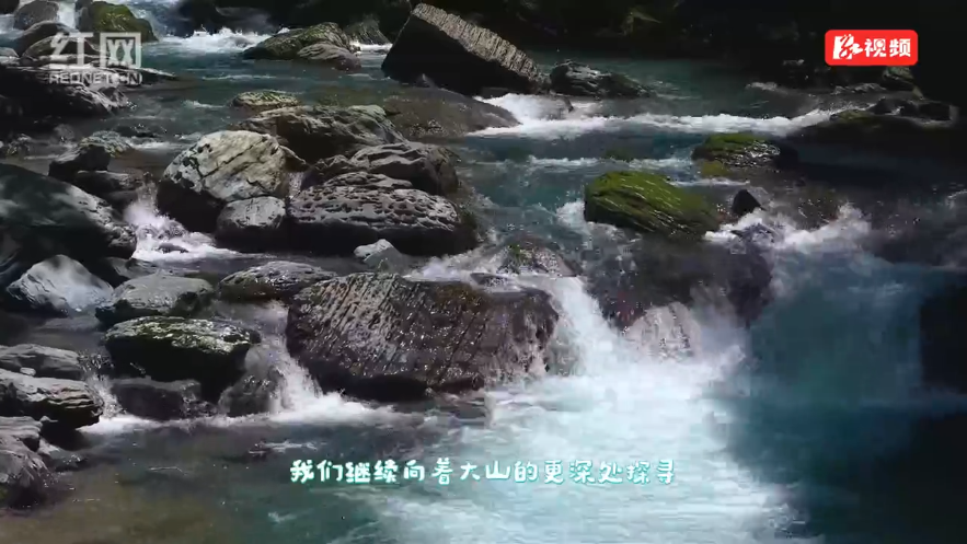 寻源桑植好水