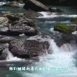 聚焦森保节｜寻源桑植好水