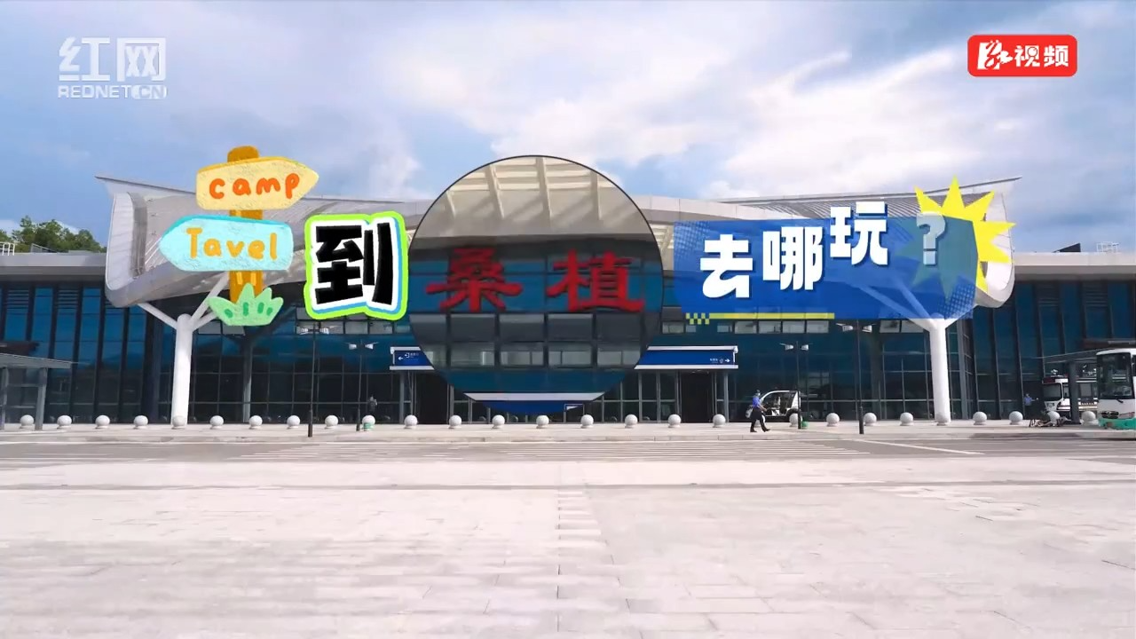 聚焦森保节｜南滩等你来撒欢！