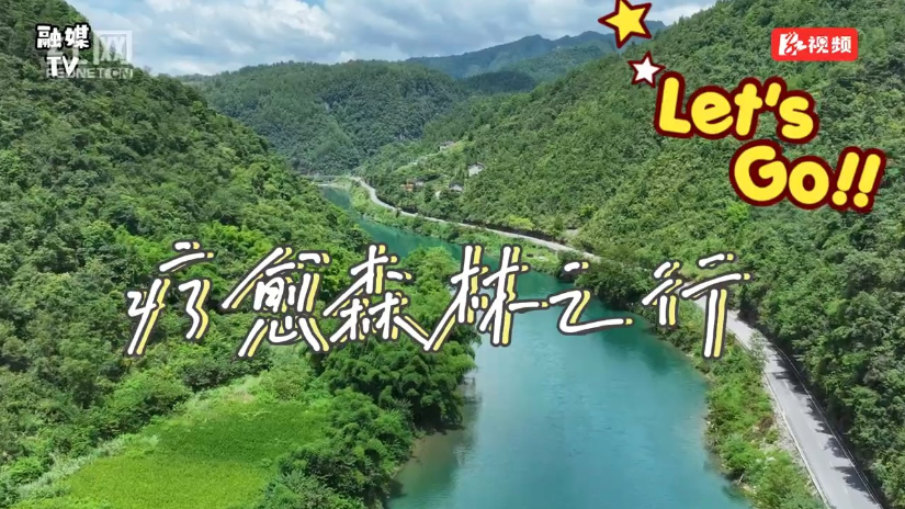 聚焦森保节｜走进八大公山