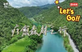 聚焦森保节｜走进八大公山