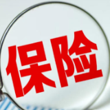调休日≠法定节假日？保险公司被判赔付十倍保险金