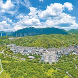 赓续长征精神 奋进复兴征程 | 枝叶总关情,初心暖山乡