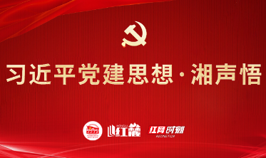 习近平党建思想·湘声悟 | 坚持全面从严治党