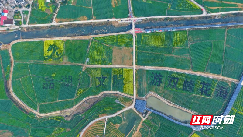 图片 1.jpg
