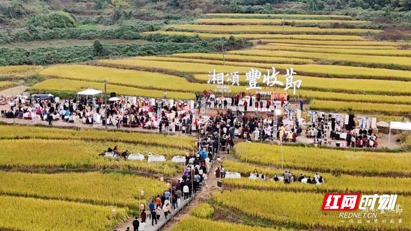 图片 7.jpg