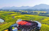人民满意的公务员集体｜双峰县锁石镇党委：把“人民满意”写在万亩花海上