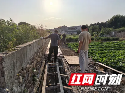 疏通“堵心沟” 守护“粮袋子”——慈利县零阳街道青山村修缮排水沟为民排忧解难