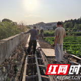 疏通“堵心沟” 守护“粮袋子”——慈利县零阳街道青山村修缮排水沟为民排忧解难