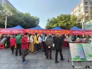 聚焦精神健康 共筑心灵防线——我县开展世界精神卫生日联合宣传活动
