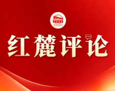 红麓评论:力戒经济工作中的形式主义