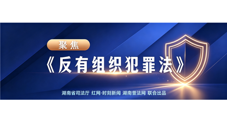 专栏 | 聚焦《反有组织犯罪法》