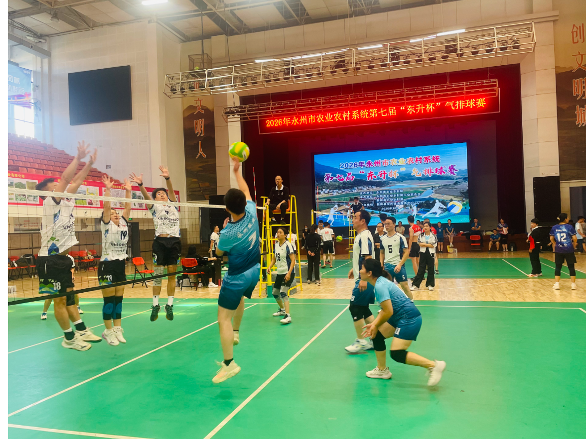 永州市农业农村系统第七届“东升杯”气排球赛圆满落幕