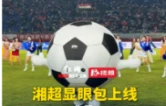 视频丨显眼包上线！湘超益阳主场上有个足球在草上飞