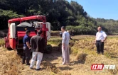 珠晖区东阳渡街道：疏堵结合让秸秆有“出路”