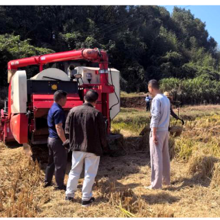 珠晖区东阳渡街道：疏堵结合让秸秆有“出路”
